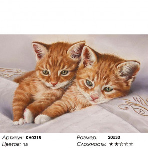  Рыжие котята Раскраска по номерам на холсте Molly KH0318