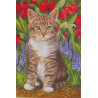  Котенок в саду Раскраска по номерам на холсте Molly KH0326