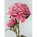 Розовые пионы Алмазная вышивка мозаика Гранни