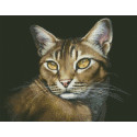 Абиссинская кошка Алмазная мозаика вышивка Паутинка