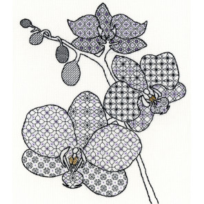  Орхидея Набор для вышивания Bothy Threads XBW2