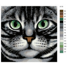 Схема Зеленые глаза Раскраска картина по номерам на холсте A119