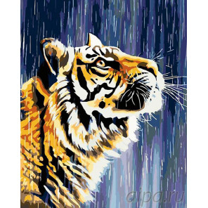 Раскладка Тигр под дождем Раскраска картина по номерам на холсте A283