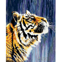 Тигр под дождем Раскраска картина по номерам на холсте