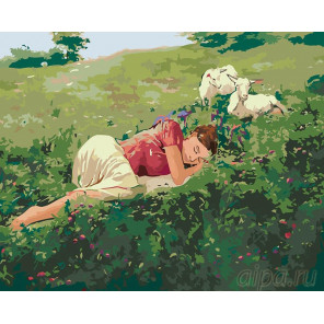 Раскладка Сон на лугу Раскраска картина по номерам на холсте RA003