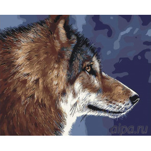Раскладка Волк Раскраска картина по номерам на холсте RA44