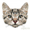  Геометрический кот Раскраска по номерам на холсте Живопись по номерам A368