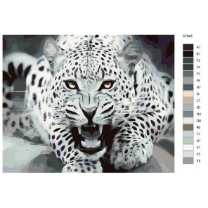 Раскладка Угроза леопарда Раскраска по номерам на холсте Живопись по номерам KTMK-57945