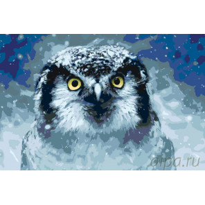Раскладка Зимняя сова Раскраска картина по номерам на холсте A430