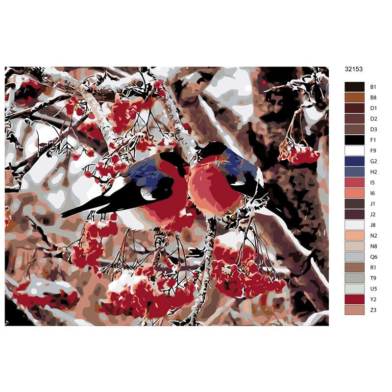 Снегири на веточке рябины — GX 40х50 см / Купить картину по номерам Цветной