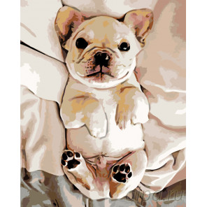 Раскладка Ласковый щенок Раскраска картина по номерам на холсте Z-z4742