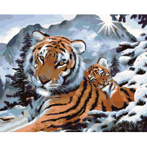 Схема Ласковый тигренок Раскраска картина по номерам на холсте  KTMK-23741