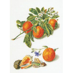 Апельсины и мандарины Набор для вышивания Thea Gouverneur 3061