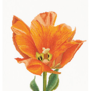  Оранжевый тюльпан Набор для вышивания Thea Gouverneur 523