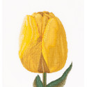 Желтый тюльпан Набор для вышивания Thea Gouverneur