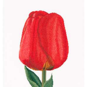  Красный тюльпан Набор для вышивания Thea Gouverneur 521A