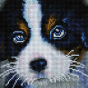  Очаровательный щенок Алмазная мозаика вышивка Painting Diamond UС115