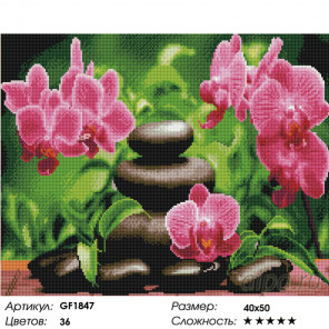  Гармония орхидеи вышивка Алмазная мозаика вышивка Painting Diamond GF1847