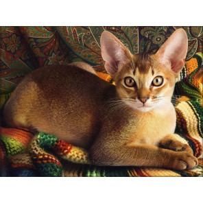 Пример оформления макета картины в рамку Абиссинский кот Алмазная вышивка мозаика АЖ-1778