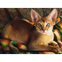 Абиссинский кот Алмазная вышивка мозаика