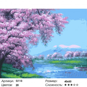  Весеннее цветение Раскраска картина по номерам на холсте G113