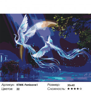 Макет Звездные фениксы Раскраска картина по номерам на холсте KTMK-Fenixove1