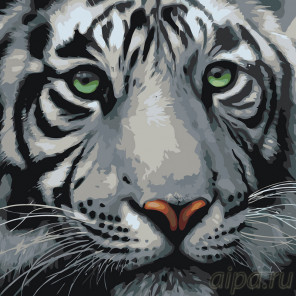 Схема Мудрый тигр Раскраска по номерам на холсте Живопись по номерам A373