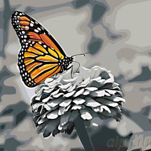  Прекрасная бабочка Раскраска по номерам на холсте Живопись по номерам RA155