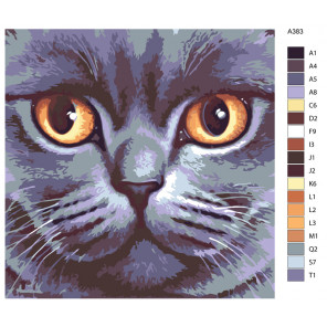 Раскладка Кошачья мордочка Раскраска по номерам на холсте Живопись по номерам A383