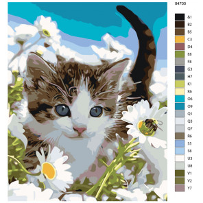 Схема Прогулка котенка Раскраска по номерам на холсте Живопись по номерам KTMK-84700