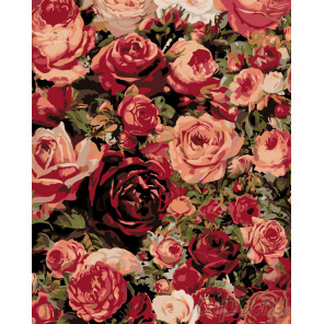 Раскладка Множество роз Раскраска картина по номерам на холсте KTMK-87286