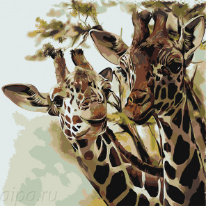 Два жирафа Раскраска по номерам на холсте Живопись по номерам Z-AB44