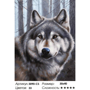 Сложность и количество цветов Волк Раскраска картина по номерам на картоне Белоснежка 3090-CS