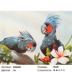  Попугаи Раскраска картина по номерам на холсте KH0344