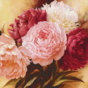 Оттенки розового Раскраска картина по номерам на холсте