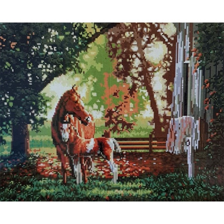  Лошадь с жеребенком Алмазная мозаика вышивка Painting Diamond GF0024