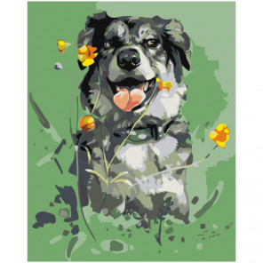 Собака на лугу Раскраска картина по номерам на холсте
