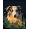 Собачий взгляд 100х125 Раскраска картина по номерам на холсте