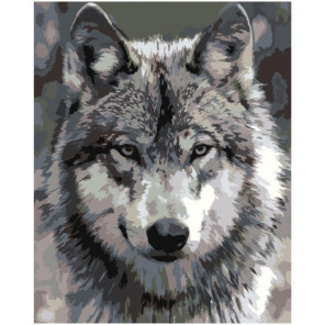 Серый волк 80х100 Раскраска картина по номерам на холсте