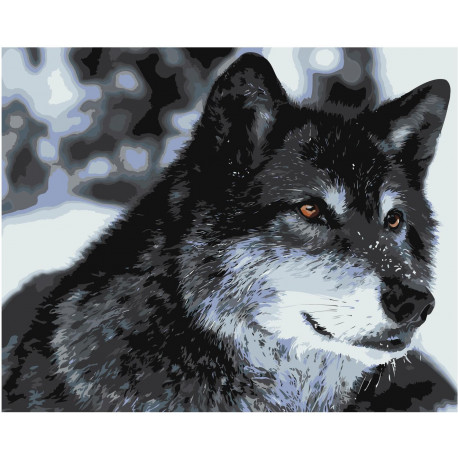Волк Раскраска картина по номерам на холсте