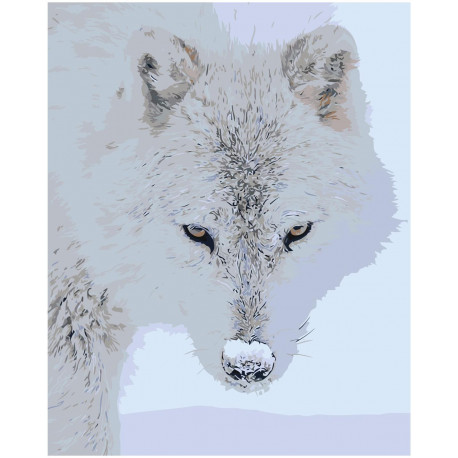 Полярный волк 80х100 Раскраска картина по номерам на холсте