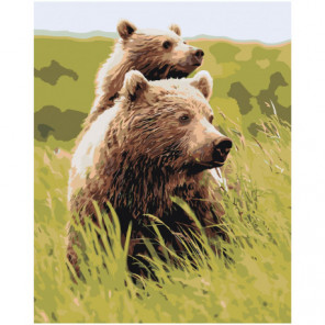 Бурые медведи в поле 100х125 Раскраска картина по номерам на холсте