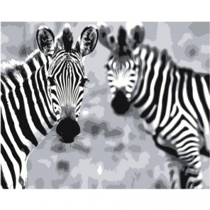 Две зебры 100х125 Раскраска картина по номерам на холсте
