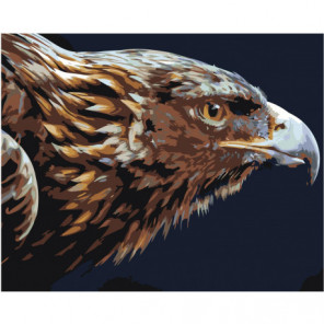 Голова летящего орла 100х125 Раскраска картина по номерам на холсте