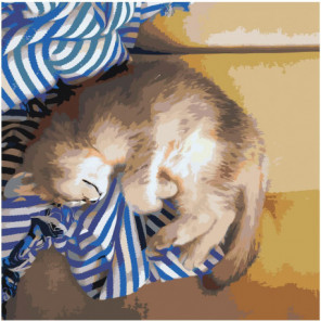 Кот спит на тельняшке 80х80 Раскраска картина по номерам на холсте