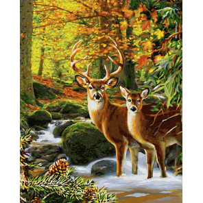 Пример оформления в рамку Олени в лесу Раскраска картина по номерам Schipper (Германия) 9130810