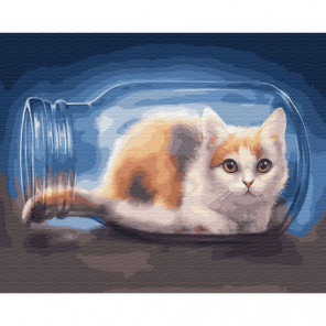 Кот в банке Раскраска картина по номерам на холсте