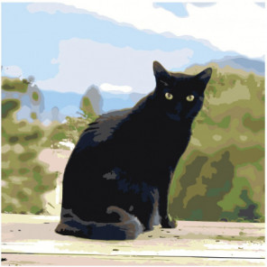 Черный кот 80х80 Раскраска картина по номерам на холсте