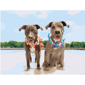 Две собаки на пляже Раскраска картина по номерам на холсте