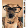 Собака в очках 60х80 Раскраска картина по номерам на холсте